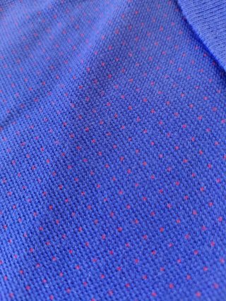 Polo Ganso Hombre Azul