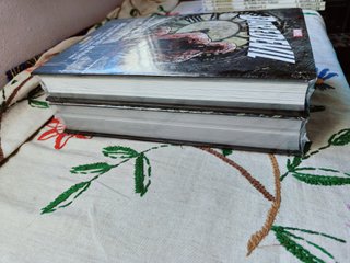 Daredevil. Tomo 1 y 2. Omnibus. Panini. Nuevo.