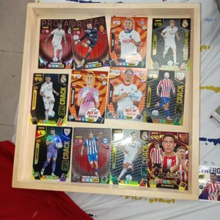 Cromos Adrenalyn XL Panini