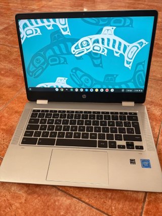 HP Chromebook Táctil 360°