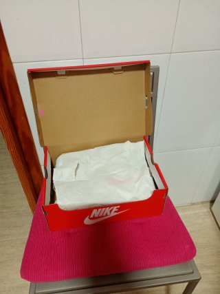 Zapatillas Nike Blancas y Rosas