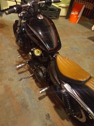 Harley Davidson XL 1200 Custom Motor solo 90000