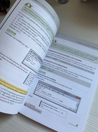 libro per le superiori di informatica - pyton