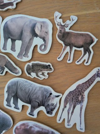 Imanes de animales Nowordbooks