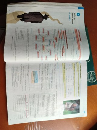 Lengua y literatura 1 ESO