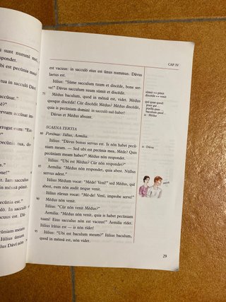 Libro LINGCA LATINA Cultura Clàsica