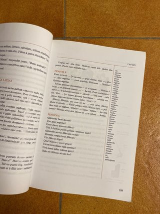 Libro LINGCA LATINA Cultura Clàsica