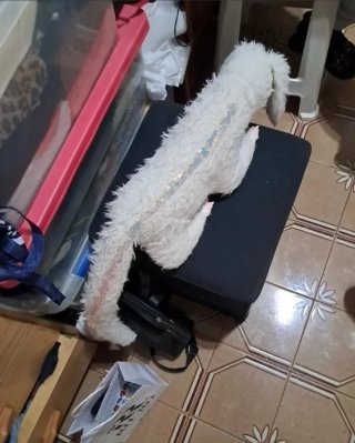 Falkor Peluche