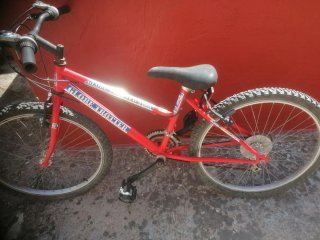 Bicicleta Globe Trotter Roja