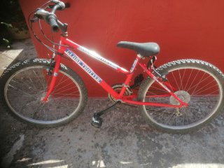 Bicicleta Globe Trotter Roja