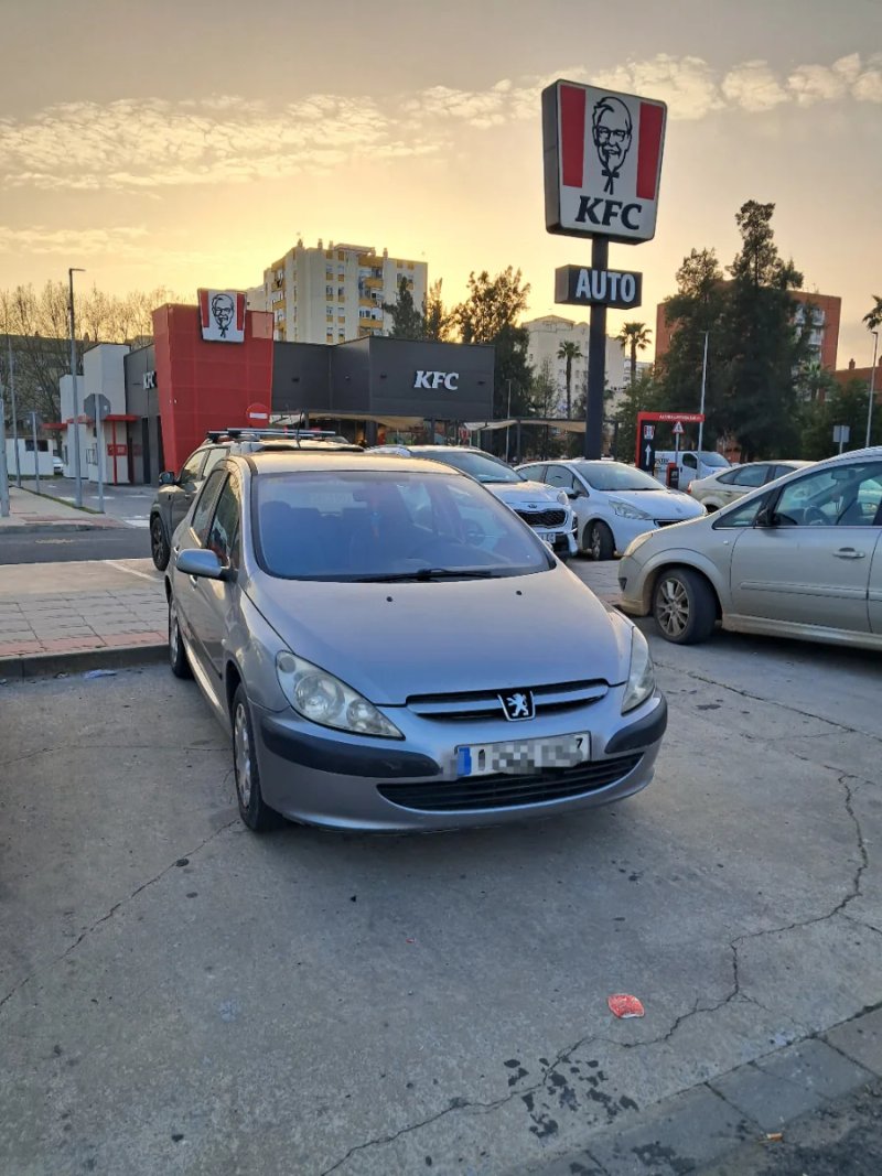 Peugeot 307 2003 - foto 1
