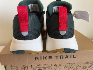 Zapatillas Nike Trail Wildhorse 10