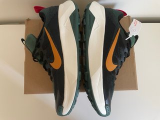Zapatillas Nike Trail Wildhorse 10
