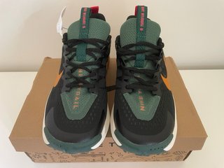 Zapatillas Nike Trail Wildhorse 10