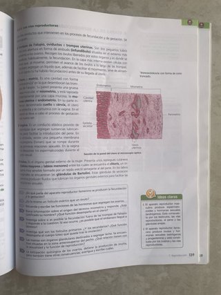 Biología y geología, 3 ESO: V. [1]. Las persona...
