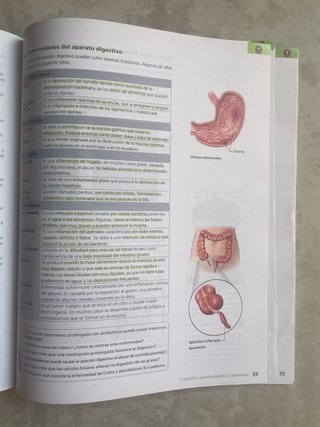 Biología y geología, 3 ESO: V. [1]. Las persona...