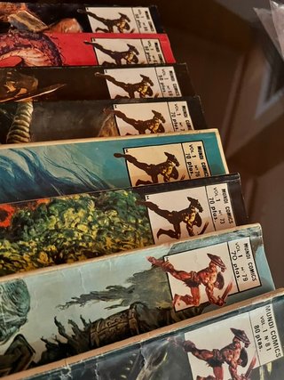 CONAN 8 RELATOS SALVAJES