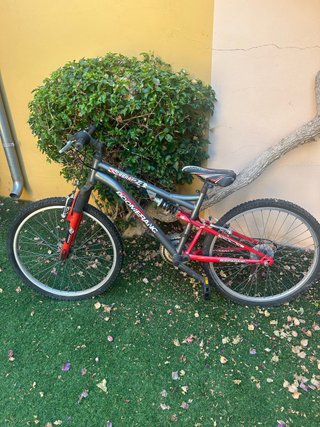 Bicicleta de montaña