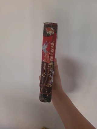 Quinto viaje al reino de la fantasía