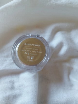 Beauty Express Blush Cipria