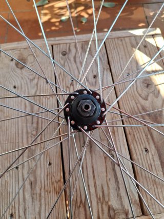 Rueda Syncross delantera 26" V-Brake Doble Pared