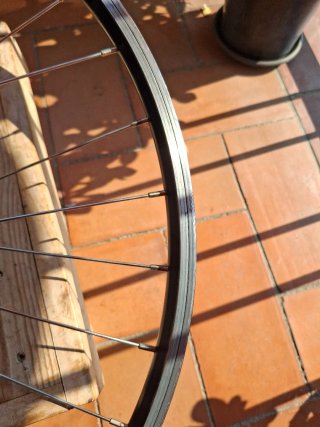 Rueda Syncross delantera 26" V-Brake Doble Pared