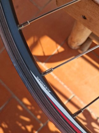 Rueda Syncross delantera 26" V-Brake Doble Pared