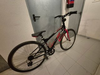 Bicicleta de Montaña Ego 260