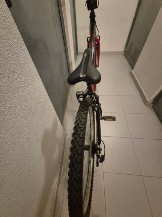 Bicicleta de Montaña Ego 260