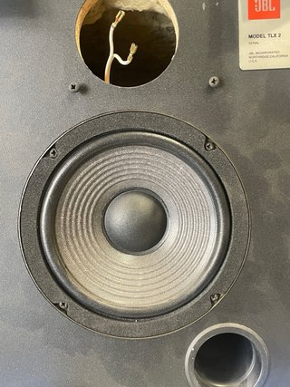 Monitores JBL TLX 2