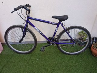 Bicicleta de adulto America X41