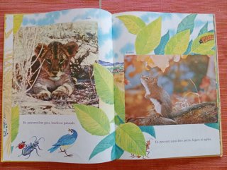 Tres cuentos infantiles en frances