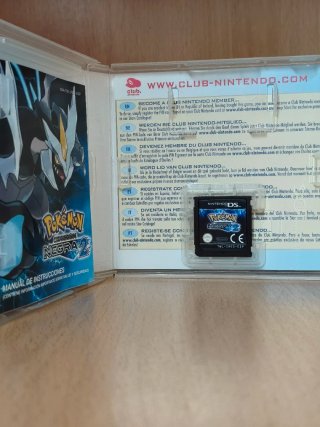 POKEMON NEGRA 2