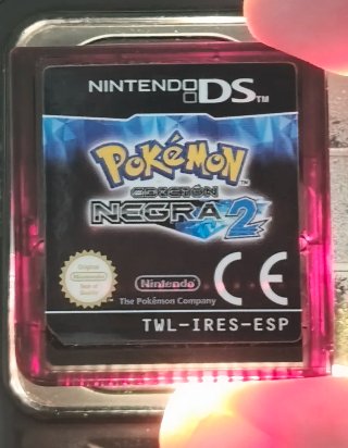 POKEMON NEGRA 2