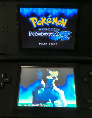 POKEMON NEGRA 2
