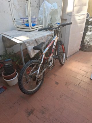 Bicicleta juvenil