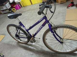 Bicicleta Montaña Florida P810 Mujer