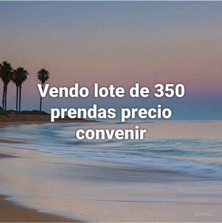 Lote 350 prendas, precio a convenir