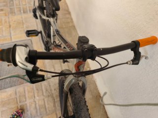 Bicicleta Scott Roxter 24 Plata