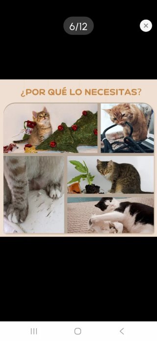 Rascador de pared para gatos