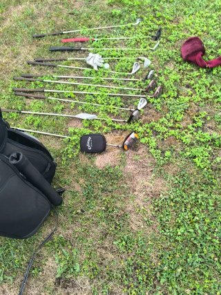 Bolsa de golf con 11 palos y carrito