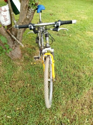 Bicicleta de montaña gris