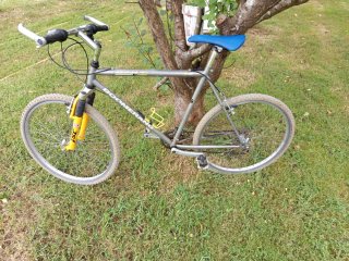 Bicicleta de montaña gris