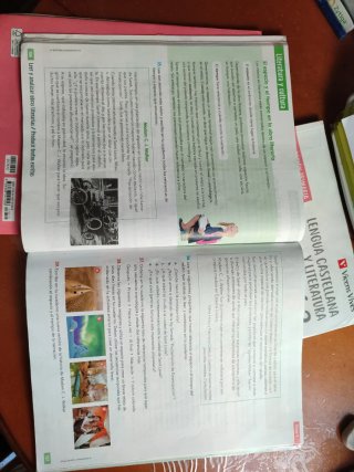 Lengua Castellana y Literatura 6, Educación Pri...