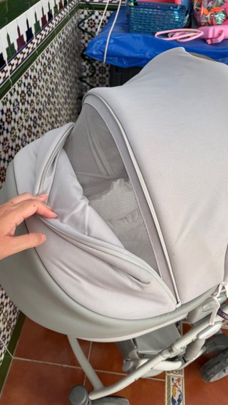 Carrito y silla de paseo Anex