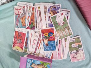 Tarot de Gatos - 78 Cartas