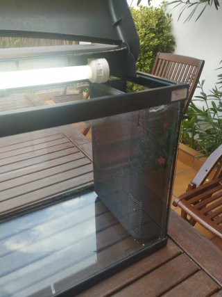 Acuario 100L con iluminación+materiales necesarios