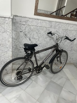 Bicicleta Boomerang