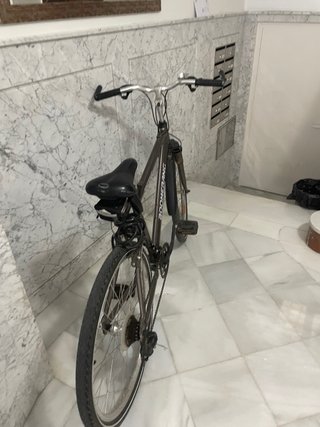 Bicicleta Boomerang