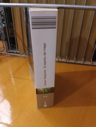 El espíritu del mago